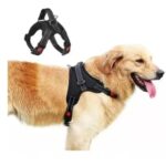 collar-rojo