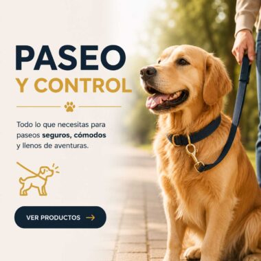 Paseo y Control